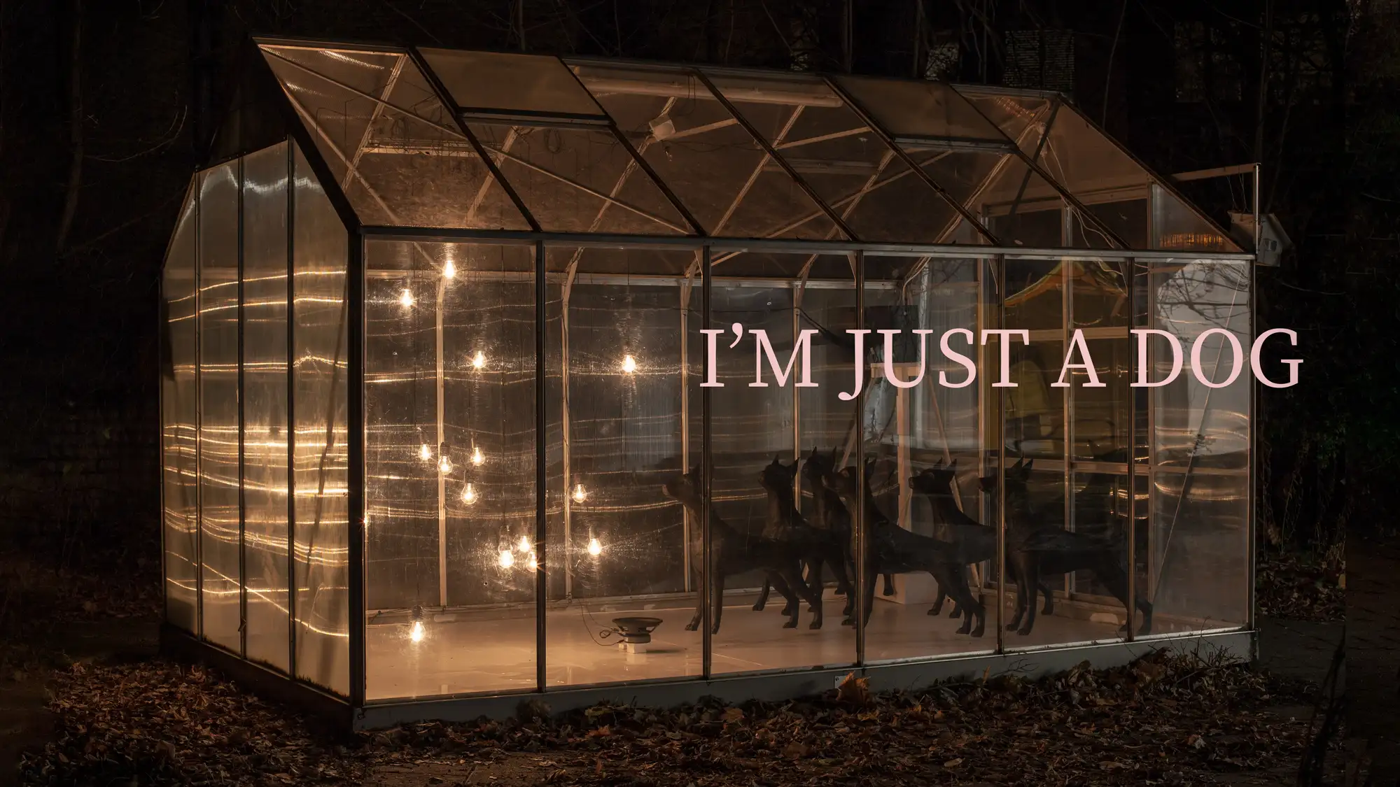 i'm just a dog superbien!